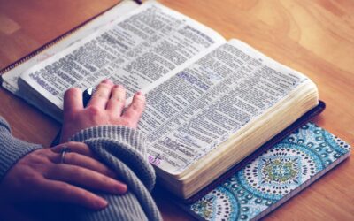 Why You Should Read Through the Bible in 2021