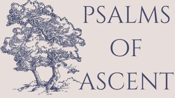 From Past To Present Image